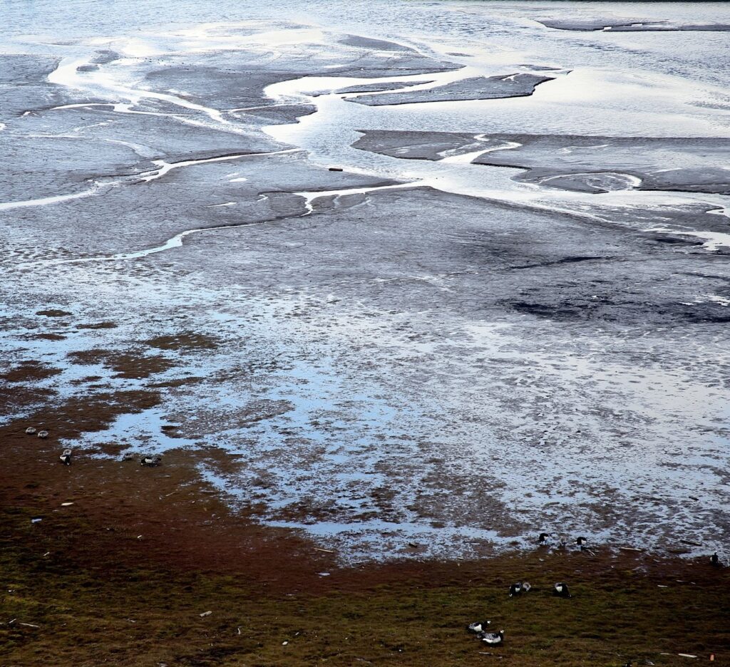 Background image for What will happen when the permafrost thaws?