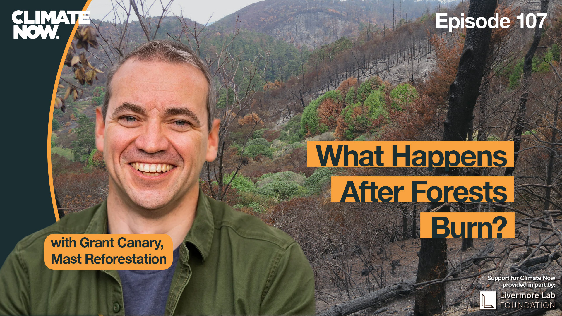 What Happens After Forests Burn Climate Now