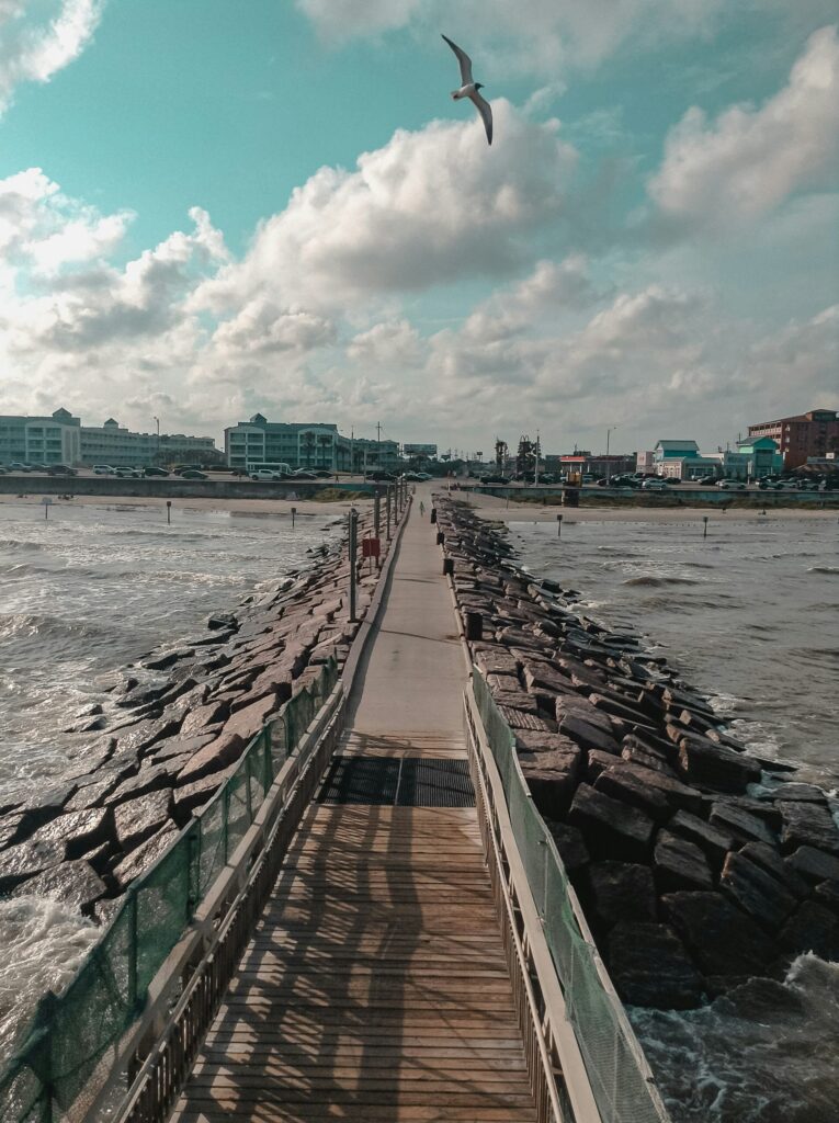 Background image for Carbon Management Workshop: Galveston County